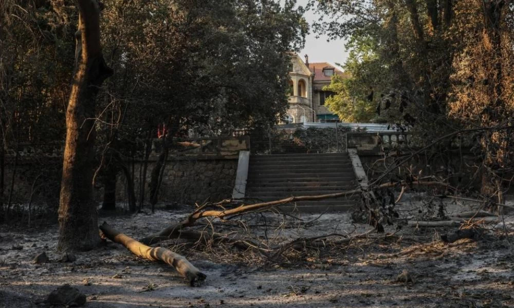 Το Τατόι μετά τις φωτιές – Ο απολογισμός, τα σχέδια και το στοίχημα